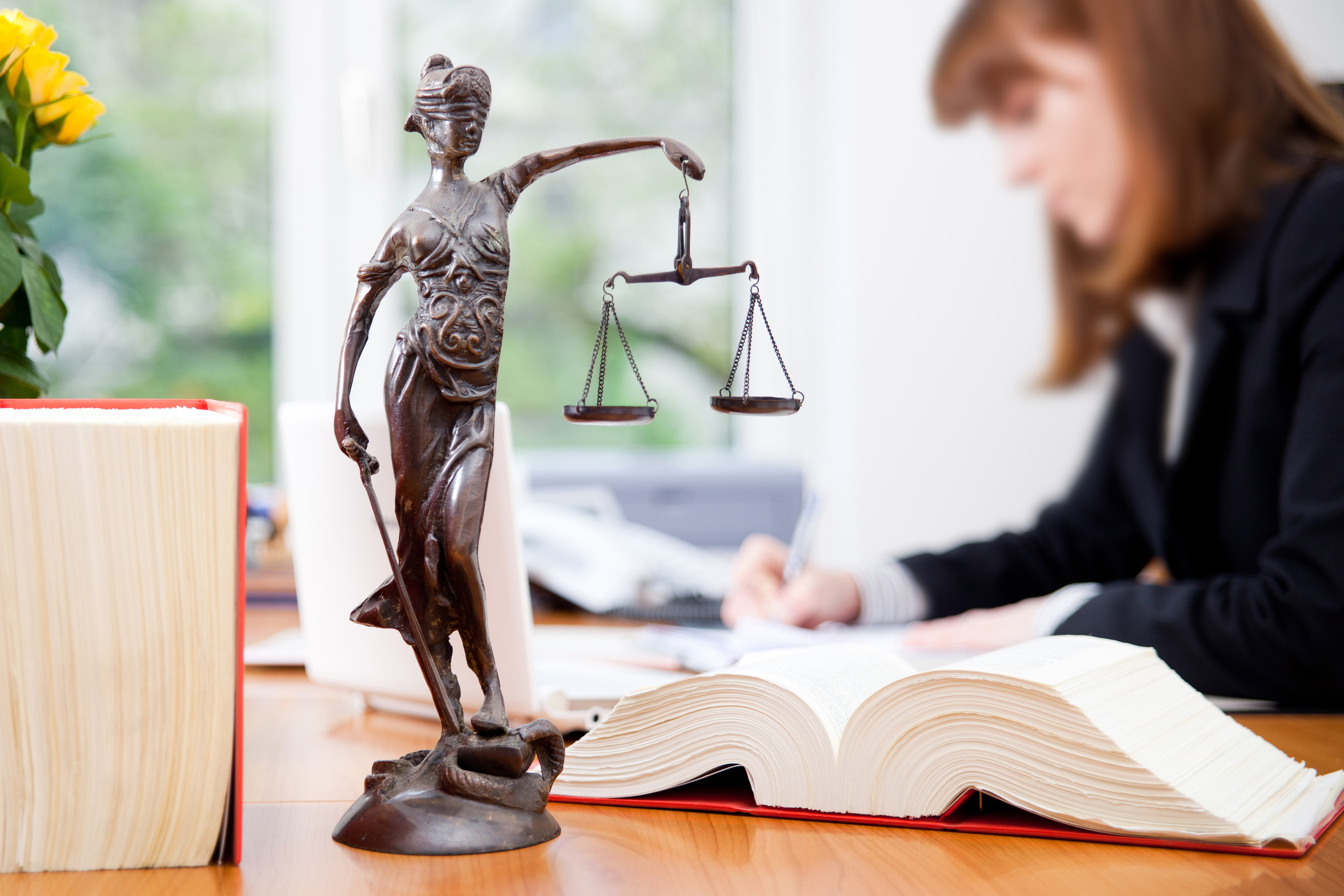 Основы бухгалтерии и налогообложения для юристов 